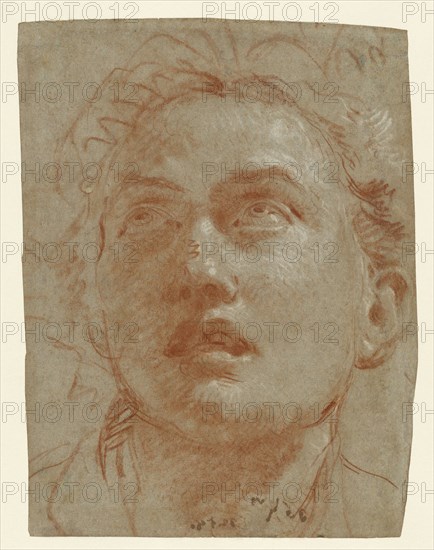 Head of a Man Looking Up; Giovanni Battista Tiepolo, Italian, 1696 - 1770, about 1750 - 1760; Red and white chalk on blue laid