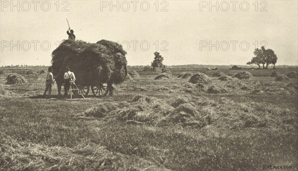 The Haysel; Peter Henry Emerson, British, born Cuba, 1856 - 1936, London, England; 1887; Photogravure; 14.1 x 25.1 cm