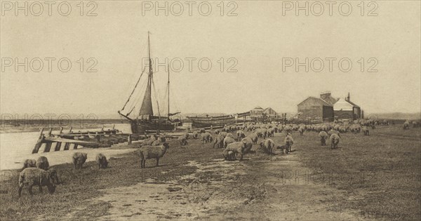 Blackshore, River Bylthe. Suffolk; Peter Henry Emerson, British, born Cuba, 1856 - 1936, London, England; 1888; Photogravure