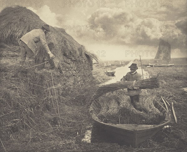 Ricking the Reed; Peter Henry Emerson, British, born Cuba, 1856 - 1936, London, England; 1886; Platinum print; 23.2 x 28.4 cm