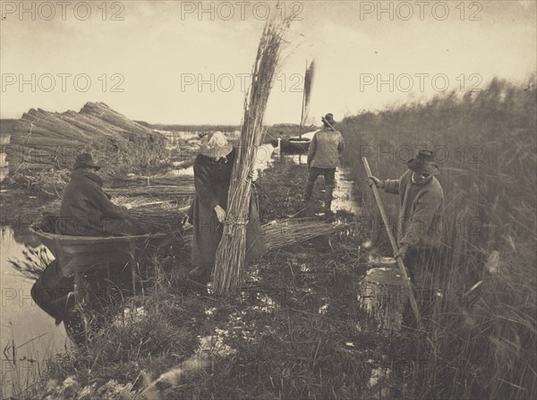 During the Reed-Harvest; Peter Henry Emerson, British, born Cuba, 1856 - 1936, London, England; 1886; Platinum print; 21.4 x 28