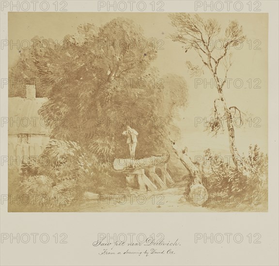 Saw pit near Dubwick. From a drawing by David Cox; about 1865; Albumen silver print