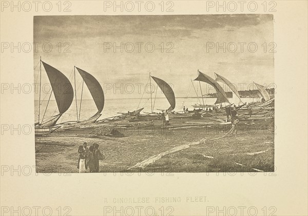 A Singhalese Fishing Fleet; Henry W. Cave, English, 1854 - 1913, Sri Lanka; about 1890; Photogravure; 5.9 × 8.9 cm