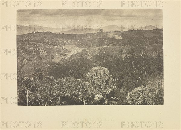 The Dumbara Valley; Henry W. Cave, English, 1854 - 1913, Sri Lanka; about 1890; Photogravure; 5.9 × 9 cm