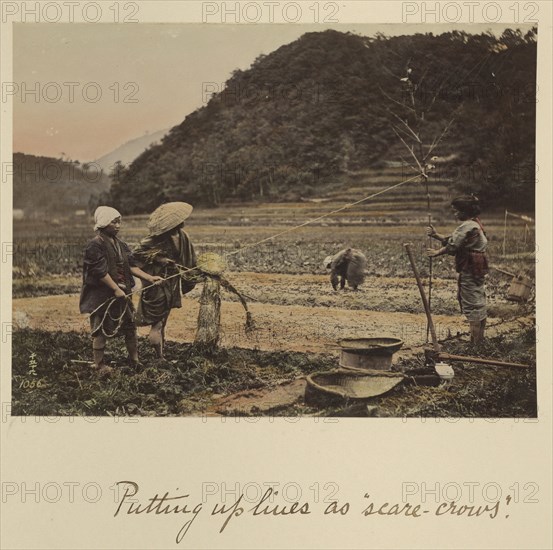Putting up lines as scare-crows; Shinichi Suzuki, Japanese, 1835 - 1919, Japan; about 1873 - 1883; Hand-colored Albumen silver