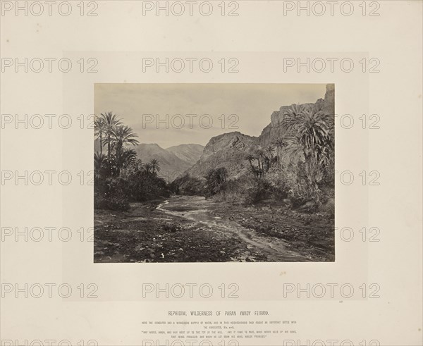Rephidim, Wilderness of Paran, Wady Feiran, Francis Frith, English, 1822 - 1898, Sinai Peninsula, Egypt; about 1865; Albumen