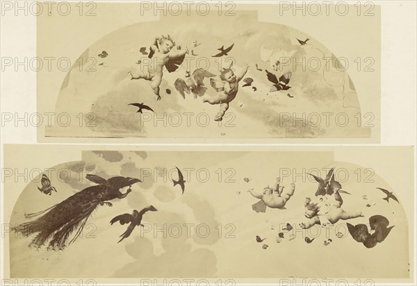Voussures du plafond; Louis-Émile Durandelle, French, 1839 - 1917, Paris, France; about 1875; Albumen silver print
