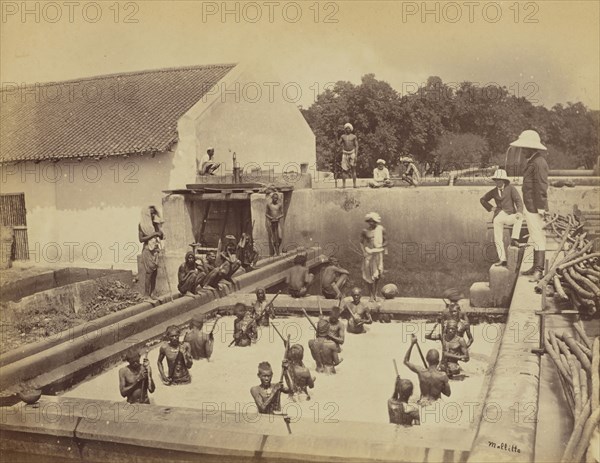 Beating a vat by hand; Oscar Mallitte, British, about 1829 - 1905, active Allahabad, India 1870s, Allahabad, India; 1877