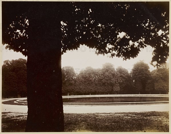 Saint-Cloud; Eugène Atget, French, 1857 - 1927, Berenice Abbott, American, 1898 - 1991, Saint-Cloud, France; negative 1926