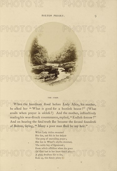 Bolton Priory; The Strid; W.R. Sedgfield, English, 1826 - 1902, Wharfedale, North Yorkshire, England; 1862; Albumen silver