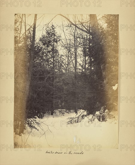 Winter Snow in the Woods; Possibly Alfred Booth, English, 1834 - 1914, and Thomas E. Jevons American, born England, 1841