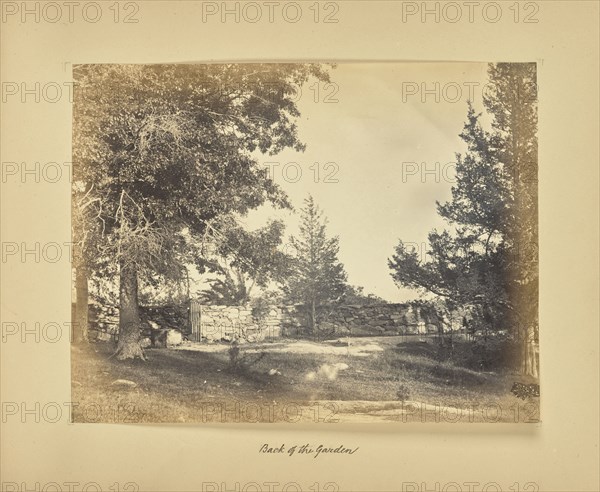 Back of the Garden; Possibly Alfred Booth, English, 1834 - 1914, and Thomas E. Jevons American, born England, 1841 - 1919