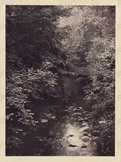 Forest stream; Arthur Brown, British, active 1850s, Newcastle upon Tyne, England; 1878; Carbon print; 9.8 x 7.1 cm