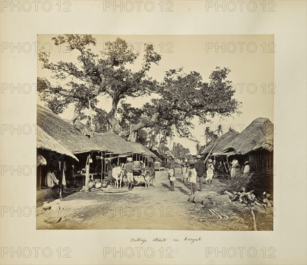 Calcutta; Rustic Scenes and Rural Life in Bengal; Samuel Bourne, English, 1834 - 1912, Calcutta, West Bengal, India, Asia