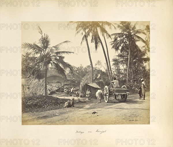 Calcutta; Rustic Scenes and Rural Life in Bengal; Samuel Bourne, English, 1834 - 1912, Calcutta, West Bengal, India, Asia