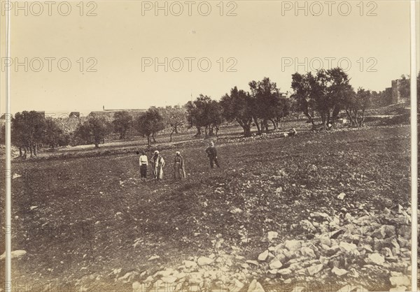 Panoramic View of the City: General View of the City &c. from the North; Sgt. James M. McDonald, English, 1822 - 1885, Israel