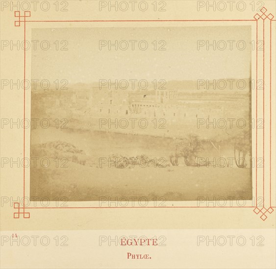 Phyloæ; Félix Bonfils, French, 1831 - 1885, Alais, France; about 1878; Albumen silver print