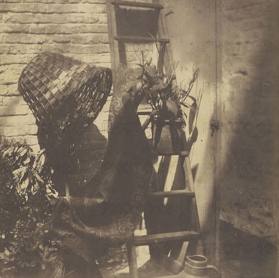 Still Life with Straw Basket, Rug and Potted Plant on Ladder; Attributed to Henri-Victor Regnault, French, 1810 - 1878, Louis