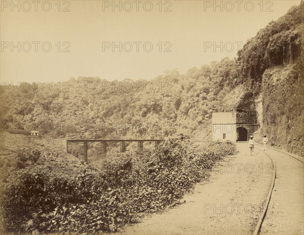 Vistas Mexicanas. Metlac Ravine; Abel Briquet, French, 1833 - ?, Veracruz, Mexico; 1860s - 1880s; Albumen silver print