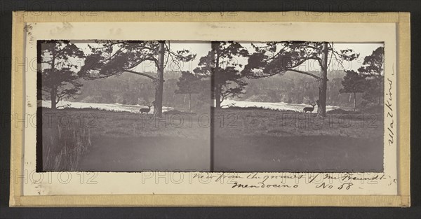 View from the Grounds of Mr. Freundt, Mendocino; Carleton Watkins, American, 1829 - 1916, Mendocino, California, United States