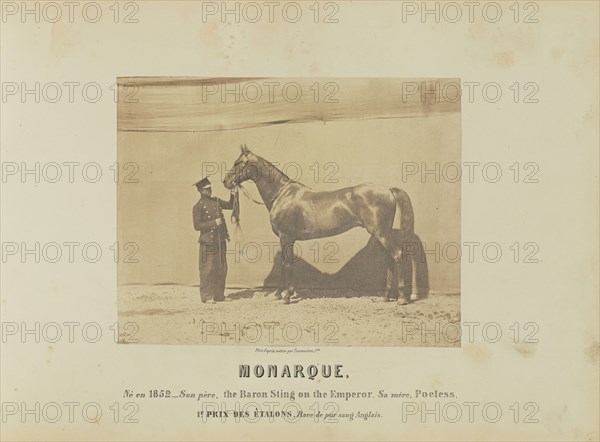 Monarque; Adrien Alban Tournachon, French, 1825 - 1903, France; 1860; Salted paper print; 17.5 × 22.3 cm, 6 7,8 × 8 3,4 in