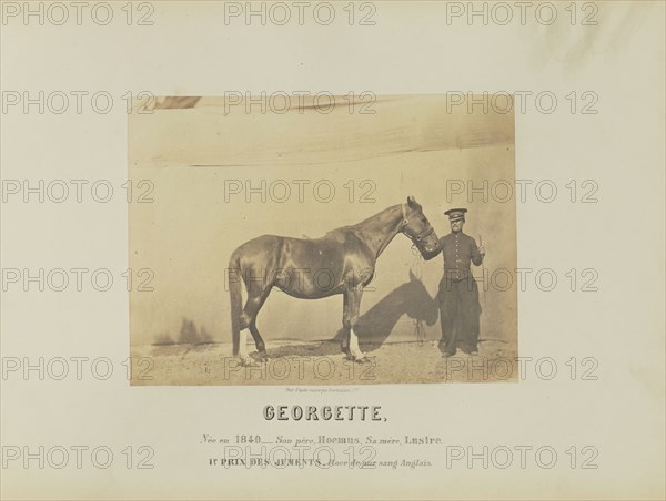 Georgette; Adrien Alban Tournachon, French, 1825 - 1903, France, Europe; 1860; Salted paper print; 16.6 x 22.3 cm