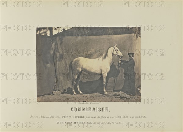 Combinaison; Adrien Alban Tournachon, French, 1825 - 1903, France; 1860; Salted paper print; 16.2 × 22.2 cm, 6 3,8 × 8 3,4 in