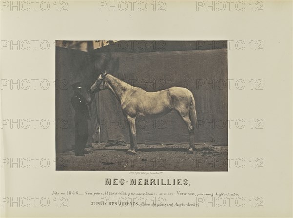 Meg-Merrillies; Adrien Alban Tournachon, French, 1825 - 1903, France; 1860; Salted paper print; 17.1 × 22.5 cm