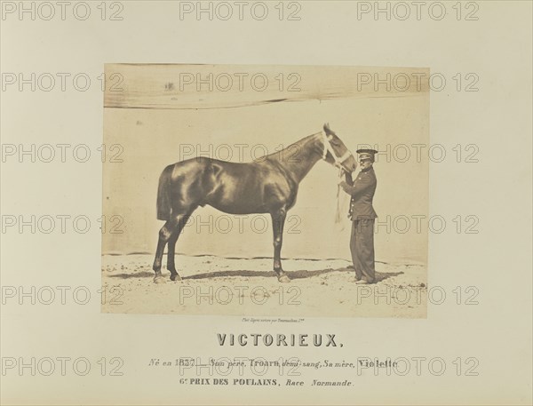 Victorieux; Adrien Alban Tournachon, French, 1825 - 1903, France; 1860; Salted paper print; 17.1 × 22.3 cm, 6 3,4 × 8 3,4 in