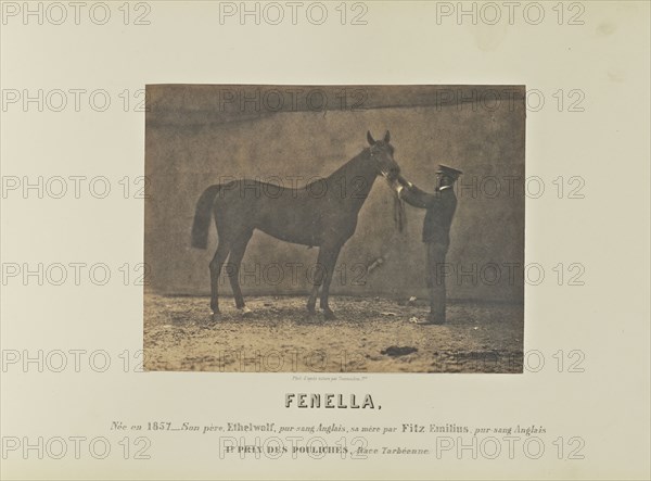 Fenella; Adrien Alban Tournachon, French, 1825 - 1903, France; 1860; Salted paper print; 16.5 × 21.8 cm, 6 1,2 × 8 9,16 in