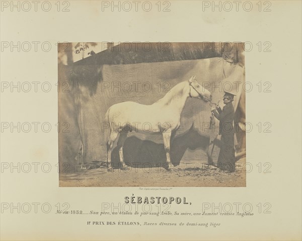 Sébastopol; Adrien Alban Tournachon, French, 1825 - 1903, France; 1860; Salted paper print; 17.2 × 22.3 cm, 6 3,4 × 8 3,4 in