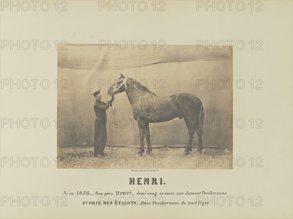 Henri; Adrien Alban Tournachon, French, 1825 - 1903, France; 1860; Salted paper print; 15.8 × 22.2 cm, 6 1,4 × 8 3,4 in