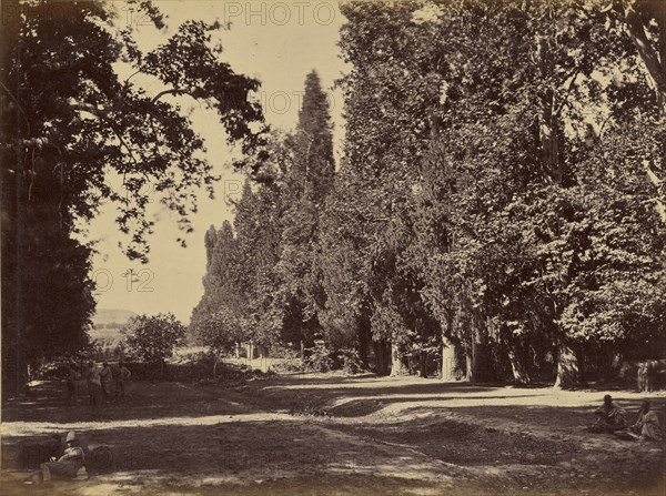 Men resting in the shade; John Burke, British, active 1860s - 1870s, Afghanistan; 1878 - 1879; Albumen silver print