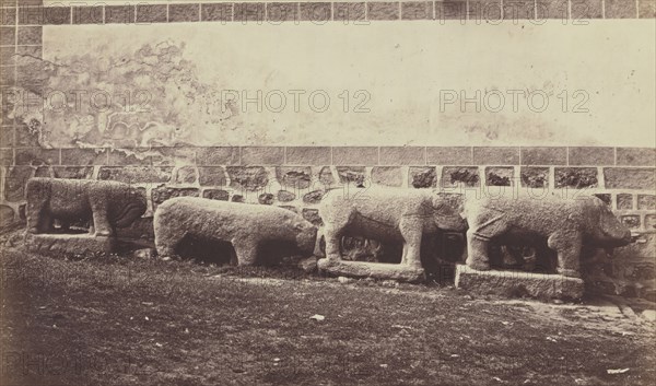 Sanghiers in Granite in Palais du Duc d' Abrantes; Juan Laurent, French, 1816 - 1892, n.d; Albumen silver print