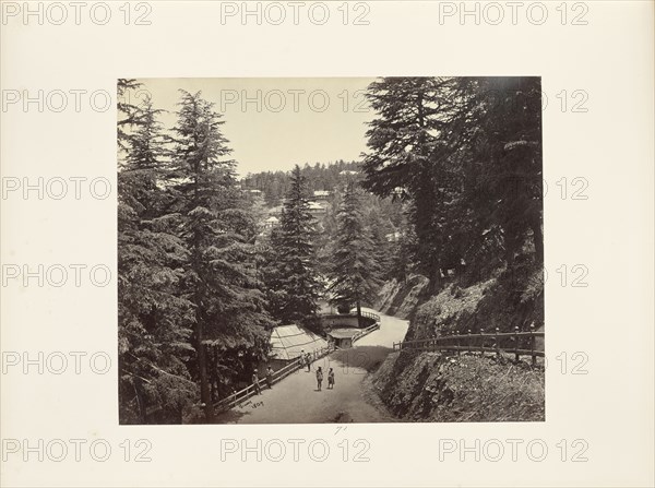 Simla; The Mall from Talbot House; Samuel Bourne, English, 1834 - 1912, Simla, India; 1868; Albumen silver print