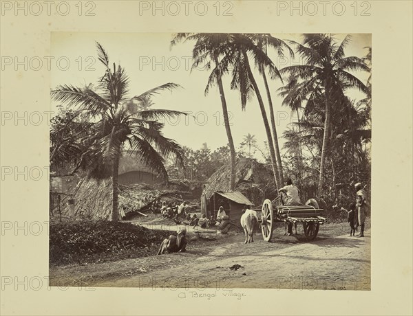 Calcutta; Rustic Scenes and Rural Life in Bengal; Samuel Bourne, English, 1834 - 1912, Calcutta, Bengal, India, Asia; 1867-1868