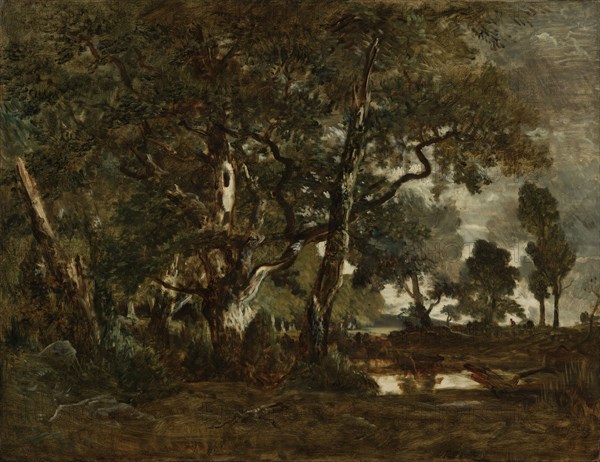 Forest of Fontainebleau, Cluster of Tall Trees Overlooking the Plain of Clair-Bois at the Edge of Bas-Bréau; Théodore Rousseau