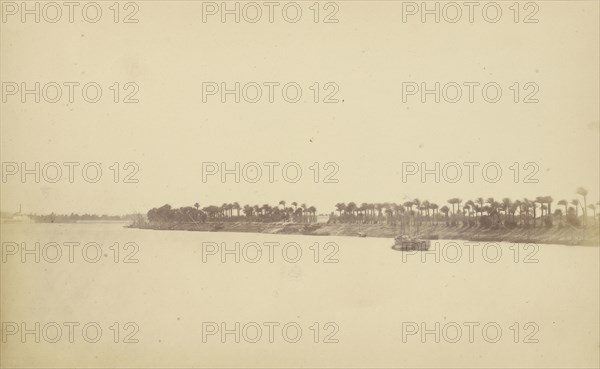Banks of the Nile with Palm Trees and Boats; Théodule Devéria, French, 1831 - 1871, France; 1859 - 1865; Albumen silver print