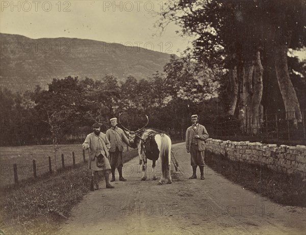 Lord Middleton. Stuart. Murdoch; Ronald Ruthven Leslie-Melville, Scottish,1835 - 1906, Scotland; 1860s; Albumen silver print