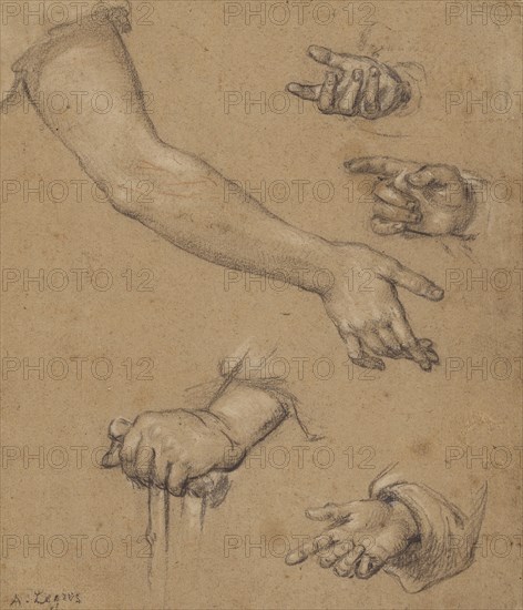 Studies of Hands; Alphonse Legros, British, born France, 1837 - 1911, France; n.d; Black and white chalk with touches of red