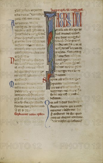 Decorated Initial I; Sicily, probably, Italy; late 12th century; Ink on parchment; Leaf: 24.6 x 16.2 cm, 9 11,16 x 6 3,8 in