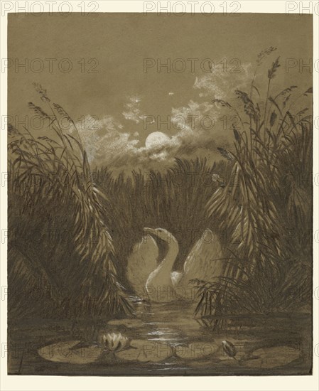 A Swan Among the Reeds, by Moonlight; Carl Gustav Carus, German, 1789 - 1869, Germany; September 18, 1852; Charcoal with white