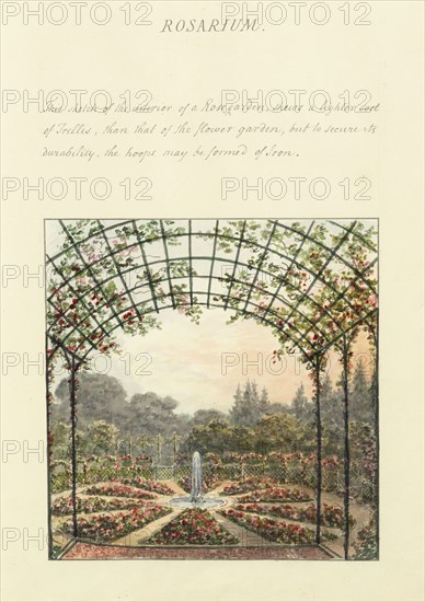 Rosarium, Humphry Repton architecture and landscape designs, 1807-1813, Report concerning the gardens at Ashridge, respectfully