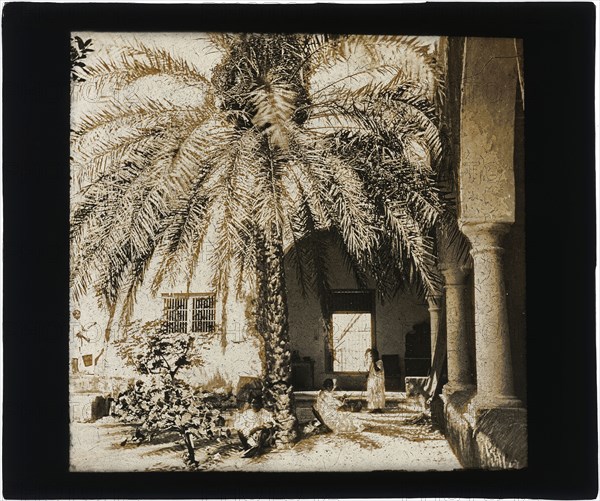 Courtyard, Belize, ?, Augustus and Alice Dixon Le Plongeon papers, 1763-1937, bulk 1860-1910, Le Plongeon, Alice D. Alice Dixon