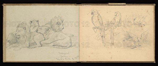 Sketchbook, Preziosi, Amadeo, 1816-1882, pencil, gray wash, white heightening, 1875, The sketchbook by Maltese artist Preziosi