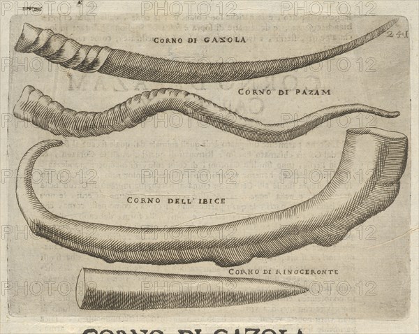 Corno di Gazola: Cap. LXXIII. Note, overo, Memorie del Museo del Conte Lodovico Moscardo Nobile Veronese, Uno de Padri Nell'