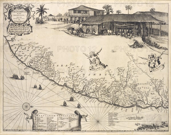Praefecture Paranambucae Pars Borealis una cum Praefectura de Itamaraca, Casparis Barlæi, rervm per octennivm in Brasilia et