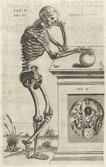 Plate 2, Tables anatomiques, avec les pourtraicts et declaration d'iceulx: ensemble un denombrement de cinq cens maladies