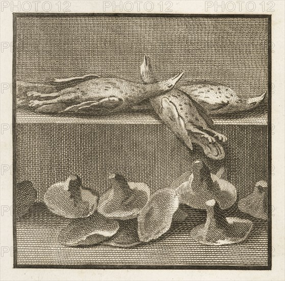 Plate 57, detail of bottom left, Delle antichità di Ercolano, Baiardi, Ottavio Antonio, 1694-1764, Engraving, c. 1757-1792