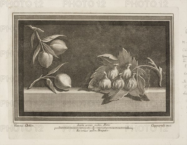 Tavola II. 11, Delle antichità di Ercolano, Baiardi, Ottavio Antonio, 1694-1764, Engraving, c. 1757-1792, Plate 2, from volume 2